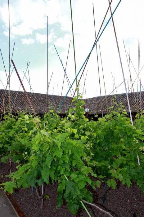Concepto cabaña I (2010). Intervenciones de Land-art, España (Spain). Eugenio Bermejo.